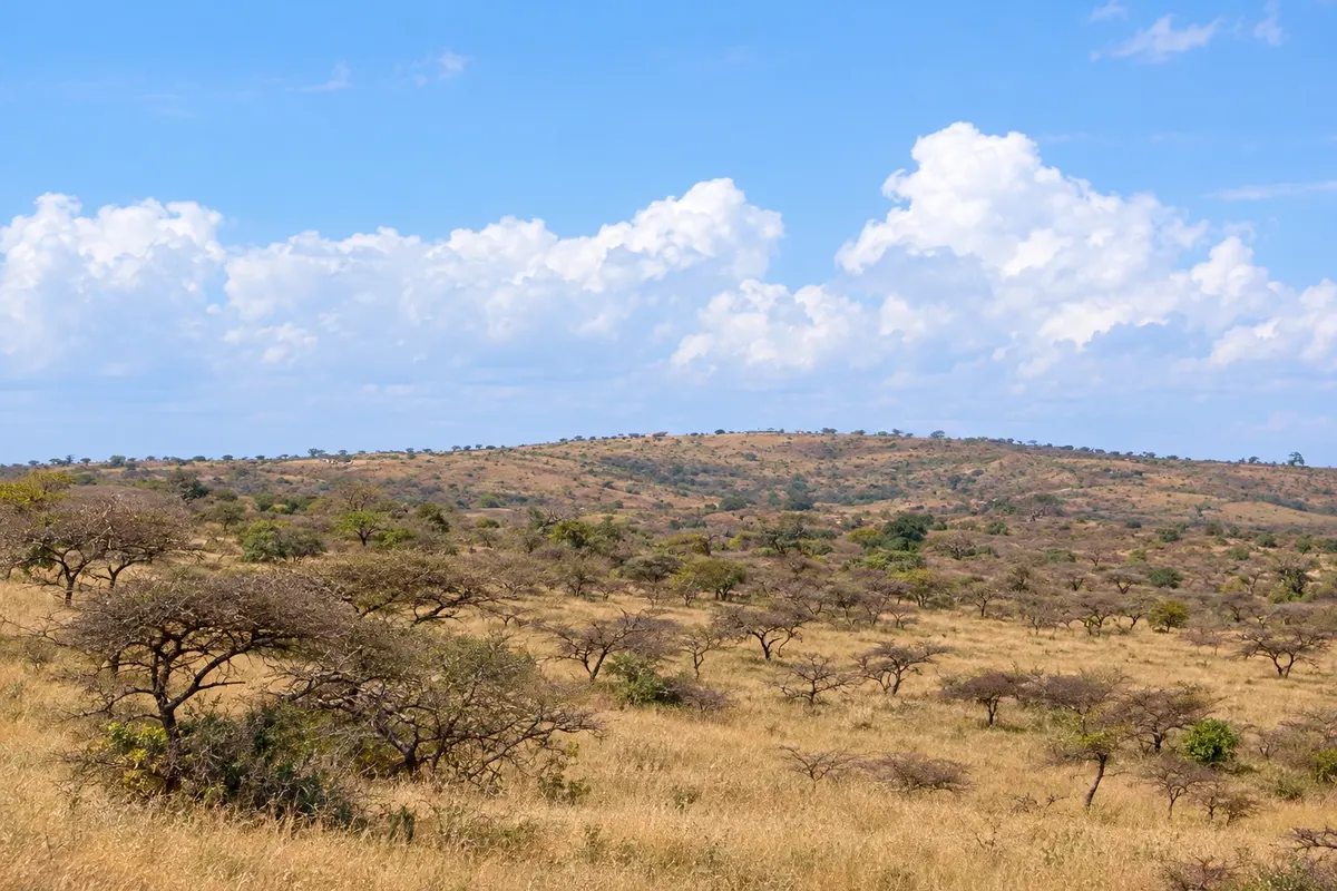 Hluhluwe