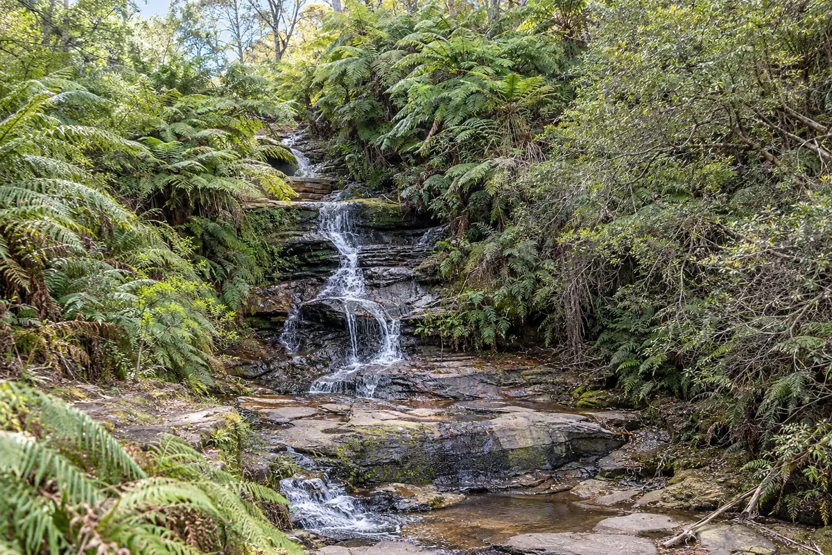 Leura