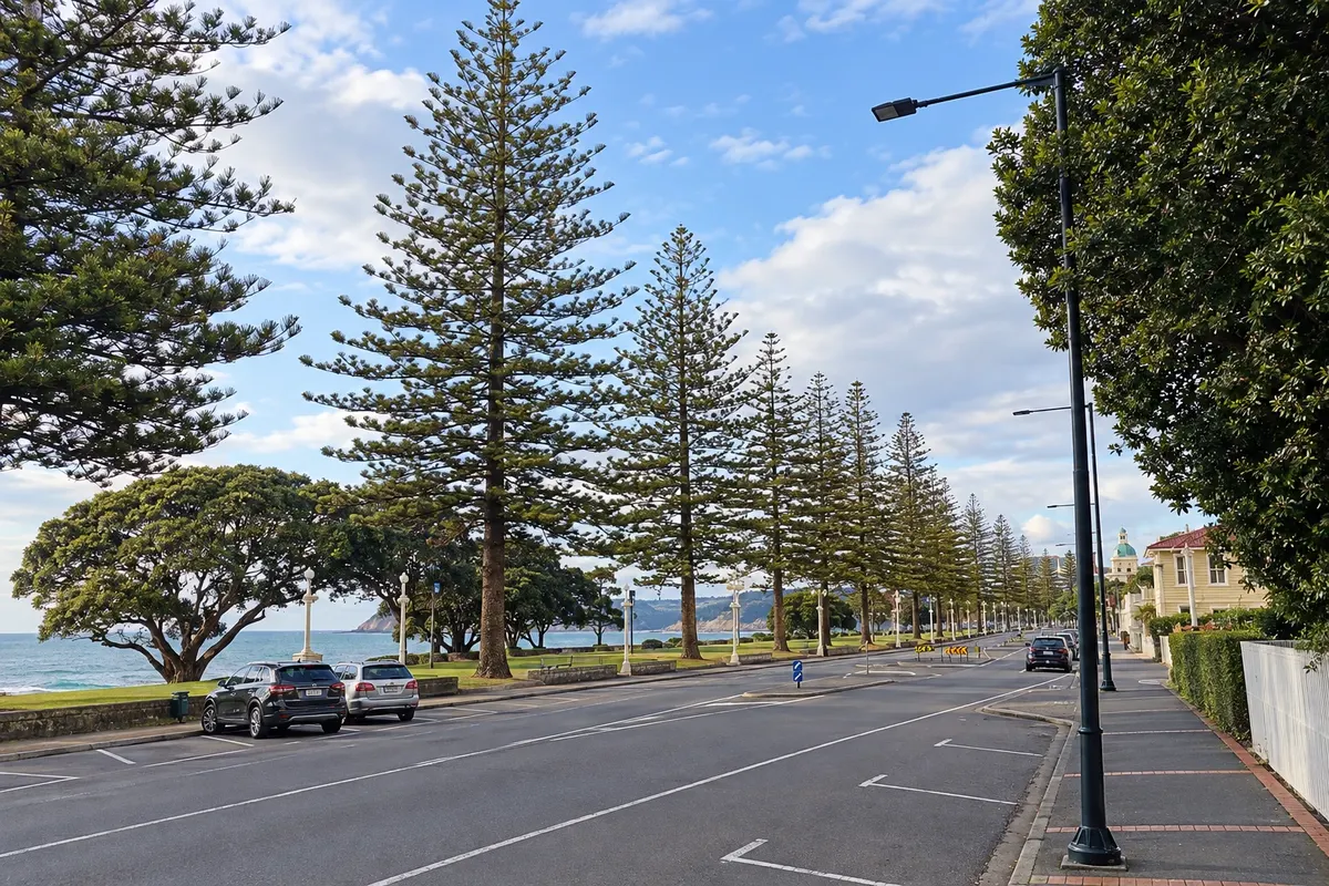 Napier