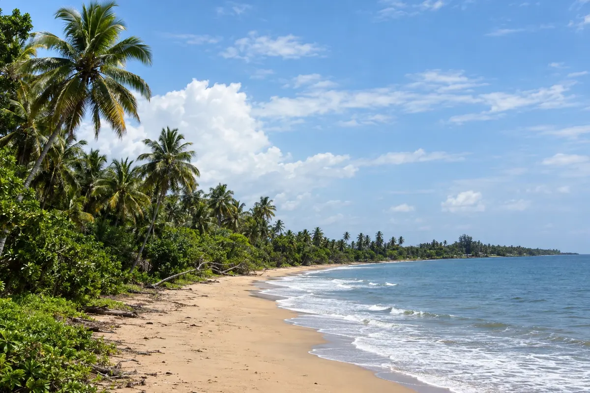 Wewak