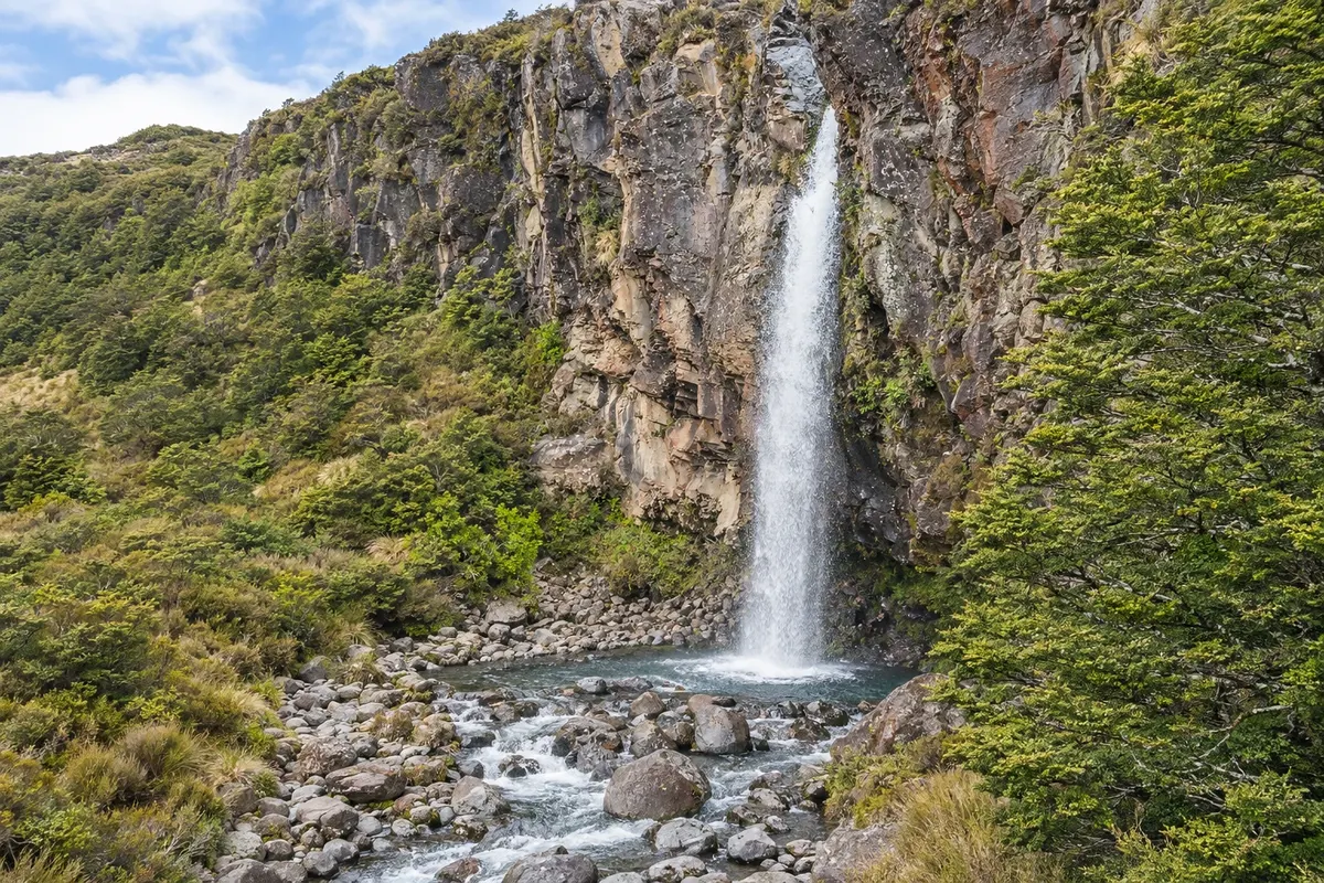 Whakapapa