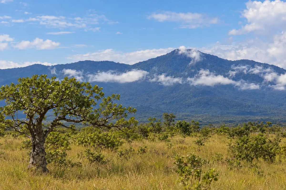 Lethem e o Rupununi