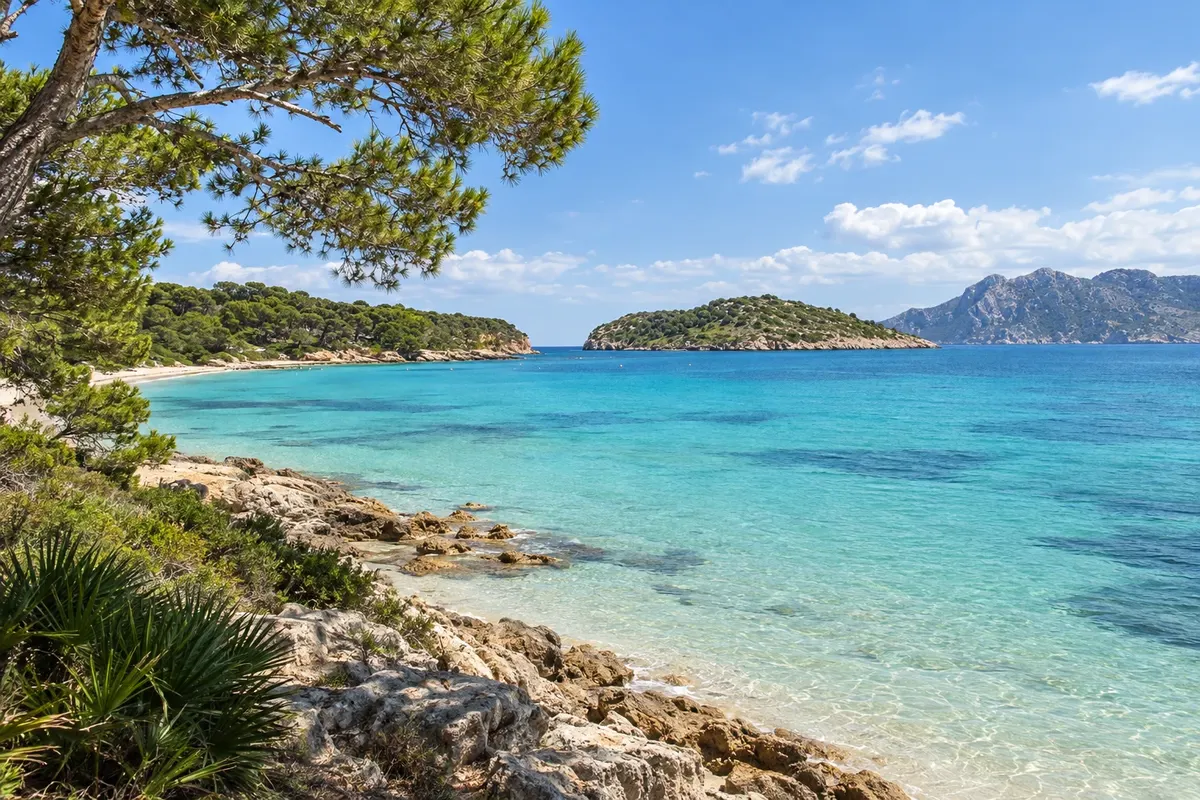 Maiorca