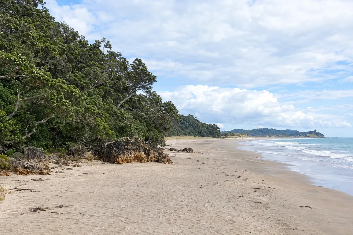 Península de Coromandel