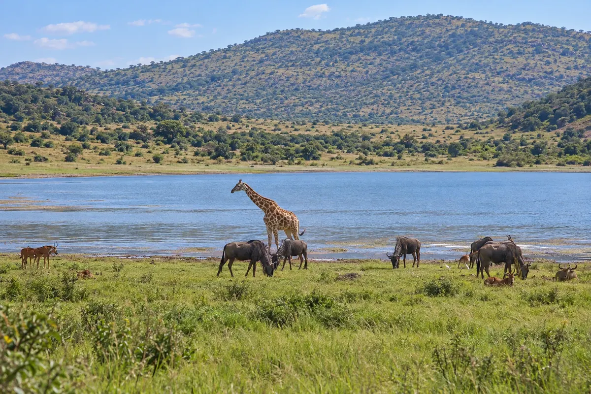 Pilanesberg