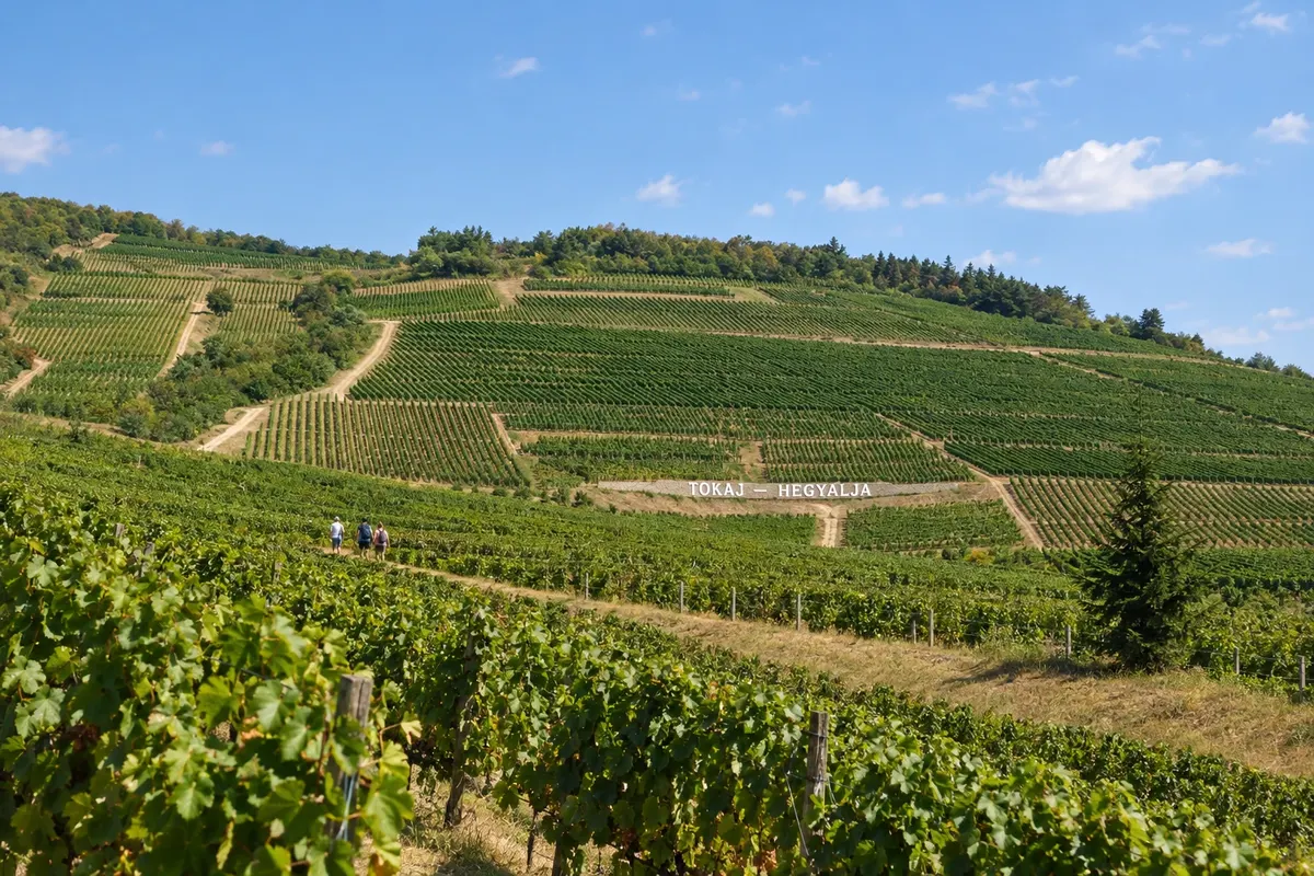 Tokaj e Zemplén