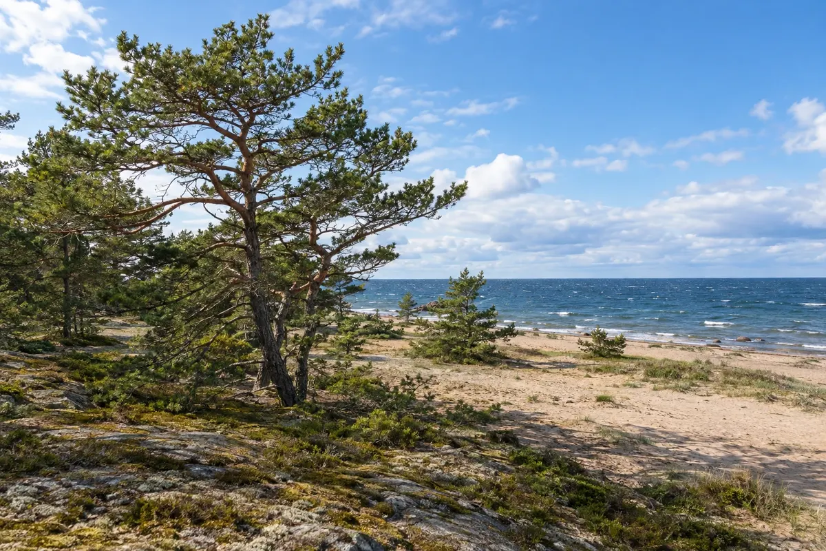Turku e o arquipélago