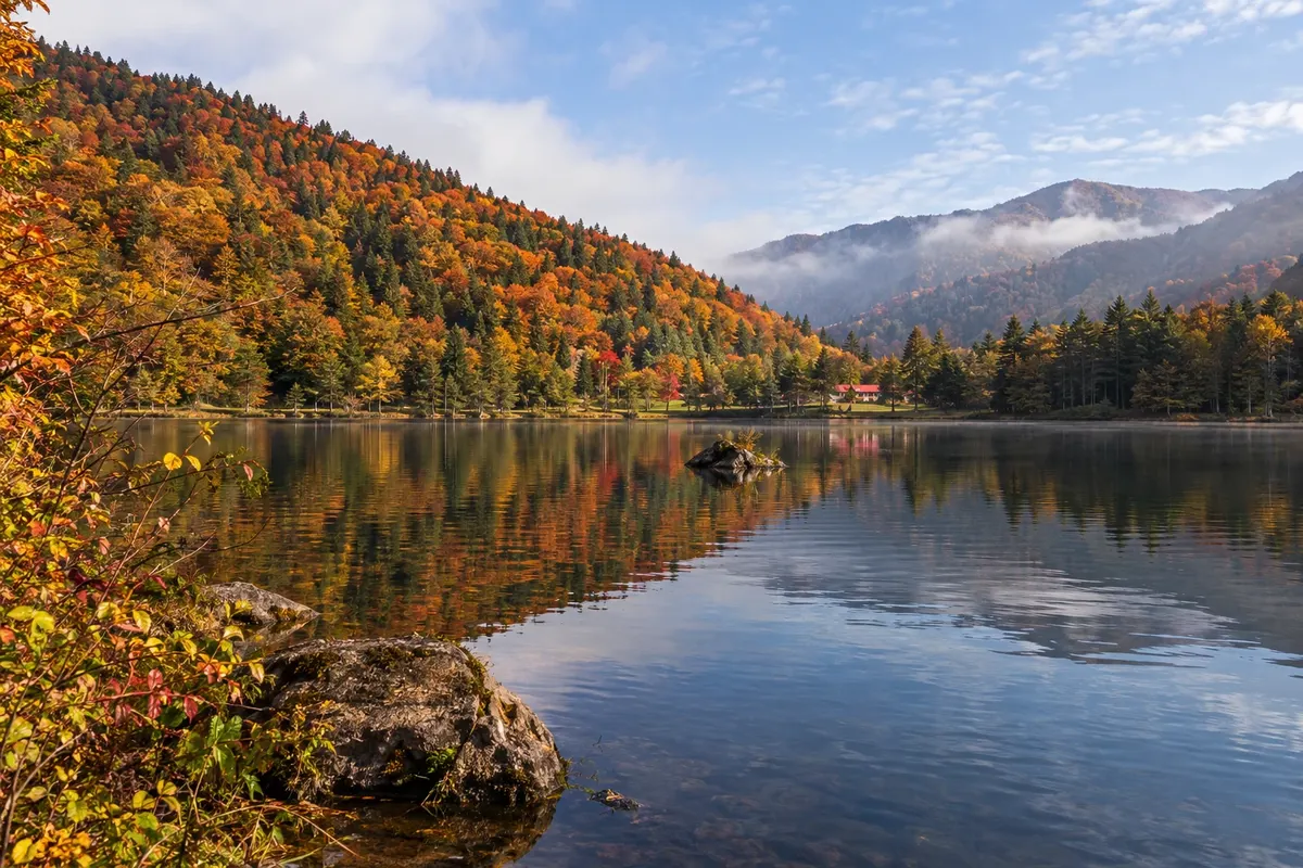 Artvin