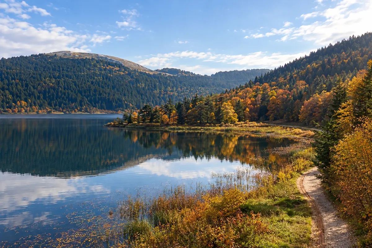 Bolu