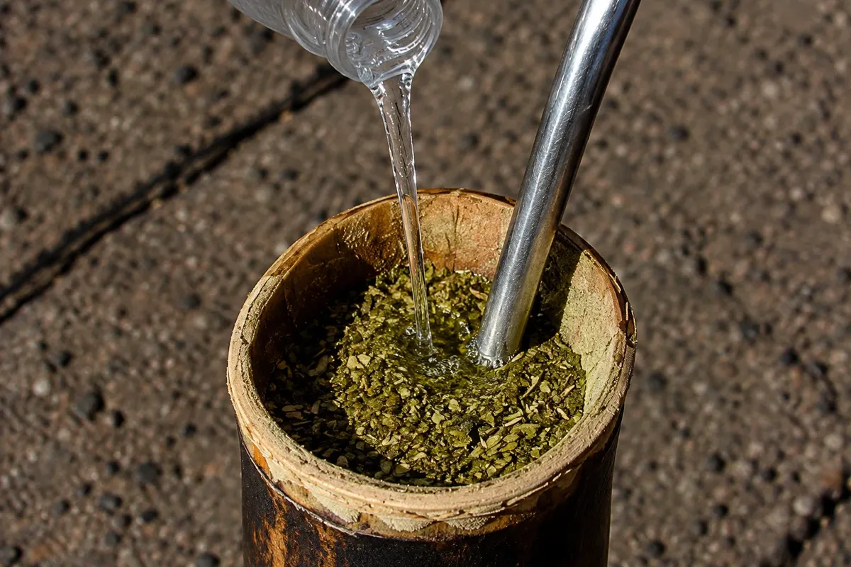 Tereré — detalhe do alimento ou preparo.