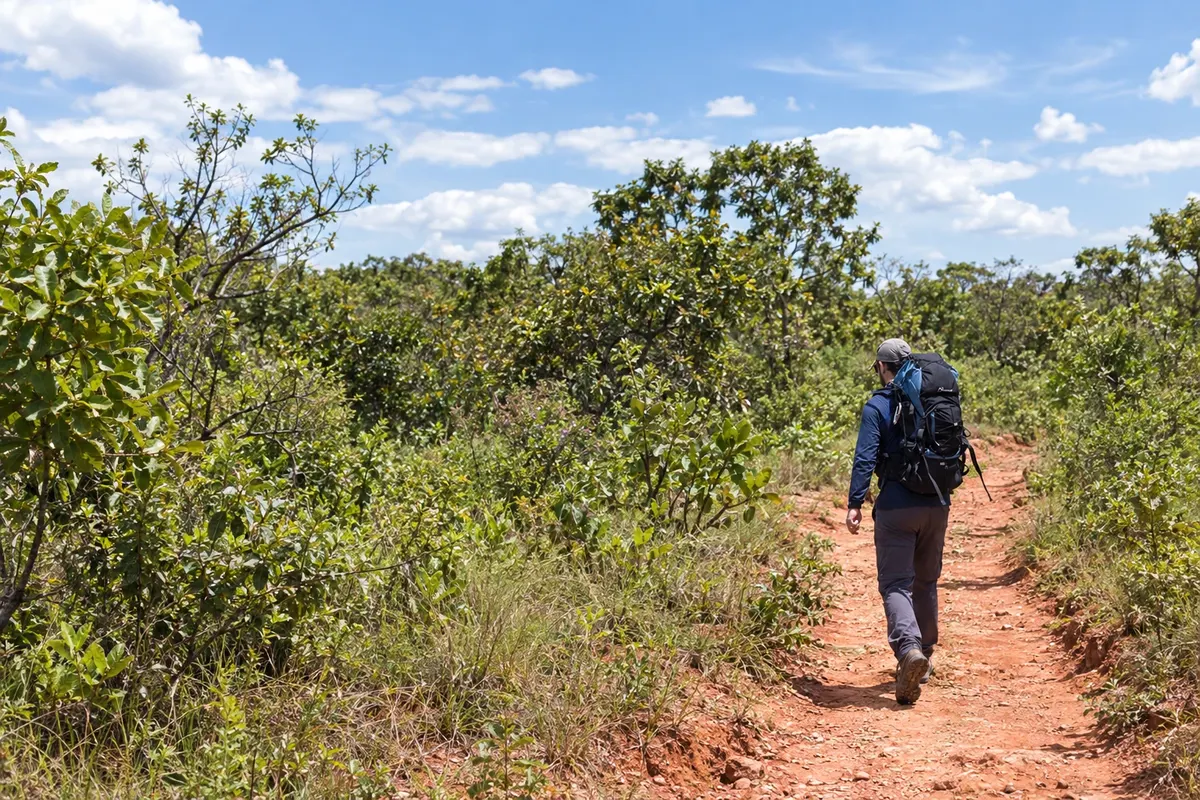 Caminho de Cora Coralina