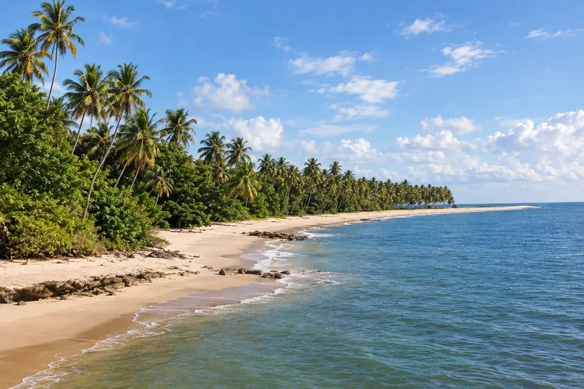 Rota 60 – Litoral Sul