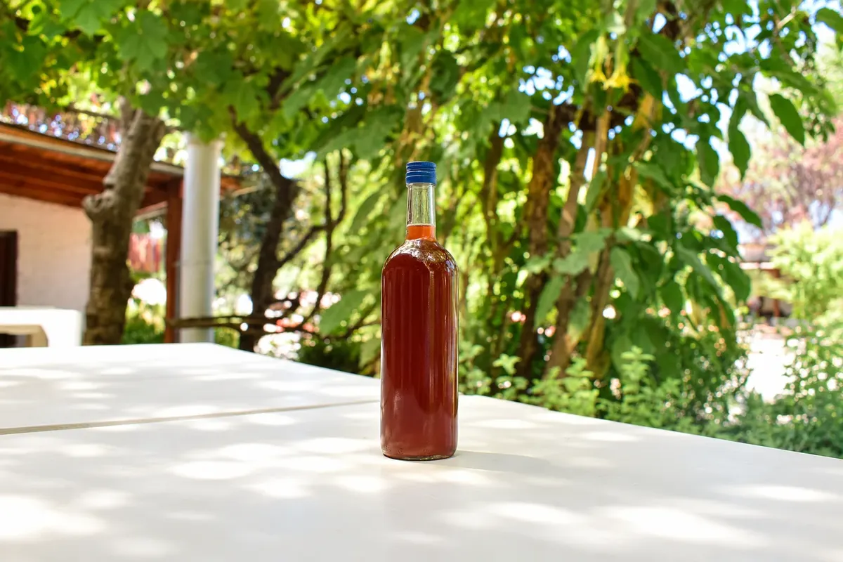 Chicha de Curacaví — Curacaví, Chile