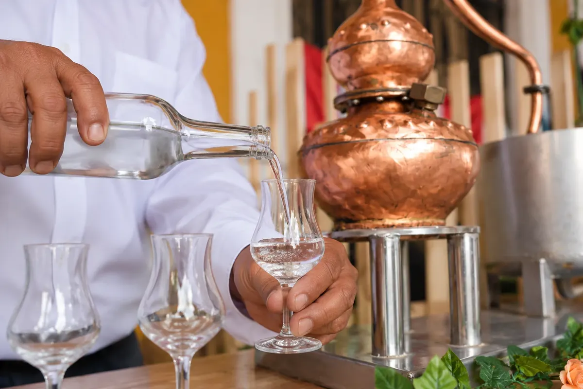 Pisco: preparo ou serviço.