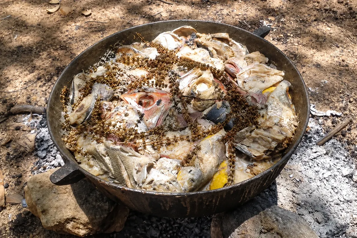 Rondón — detalhe.