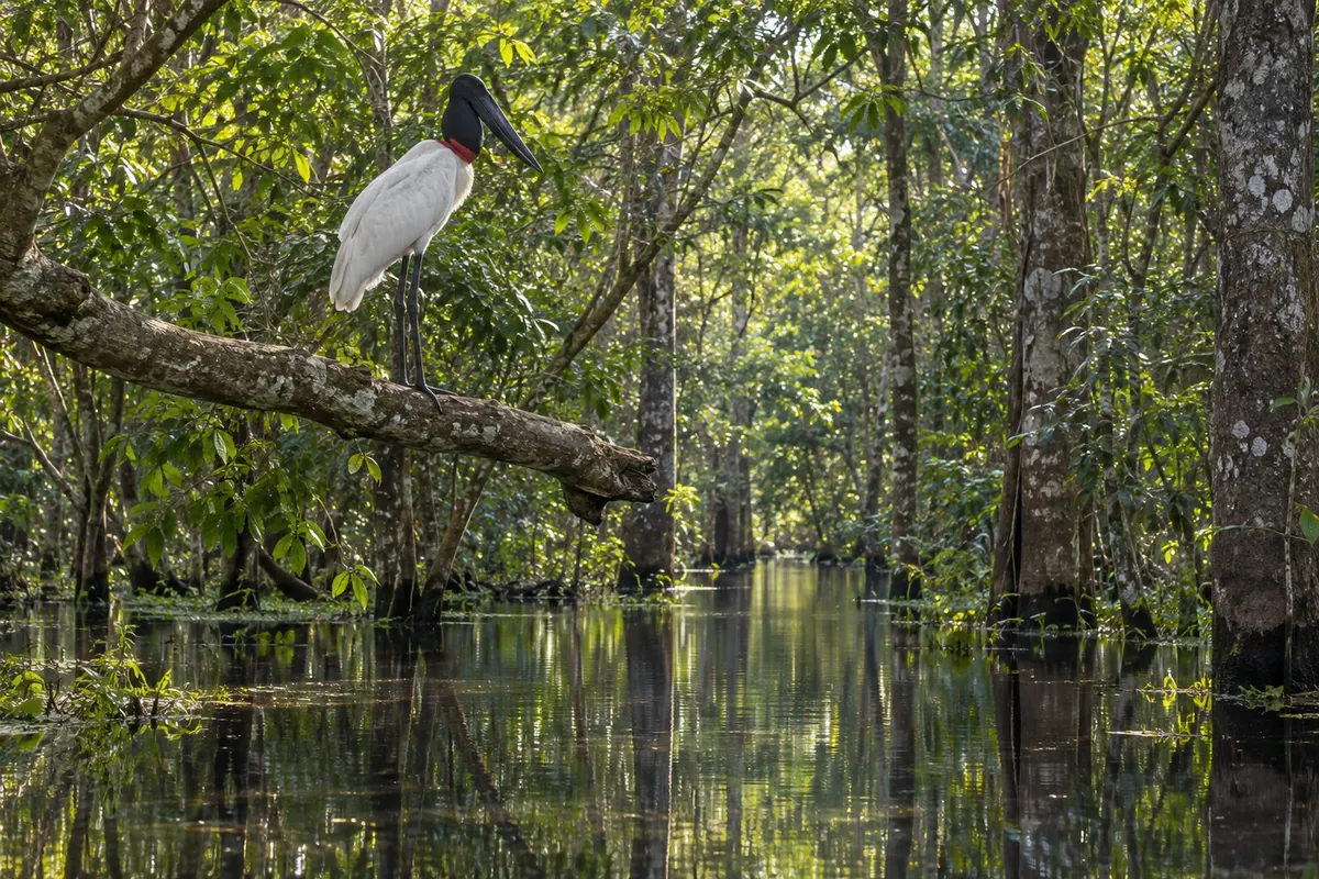 RPPN Sesc Pantanal