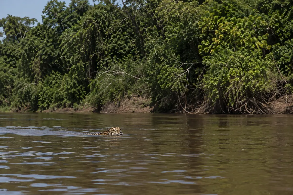 Parque Estadual Encontro das Águas