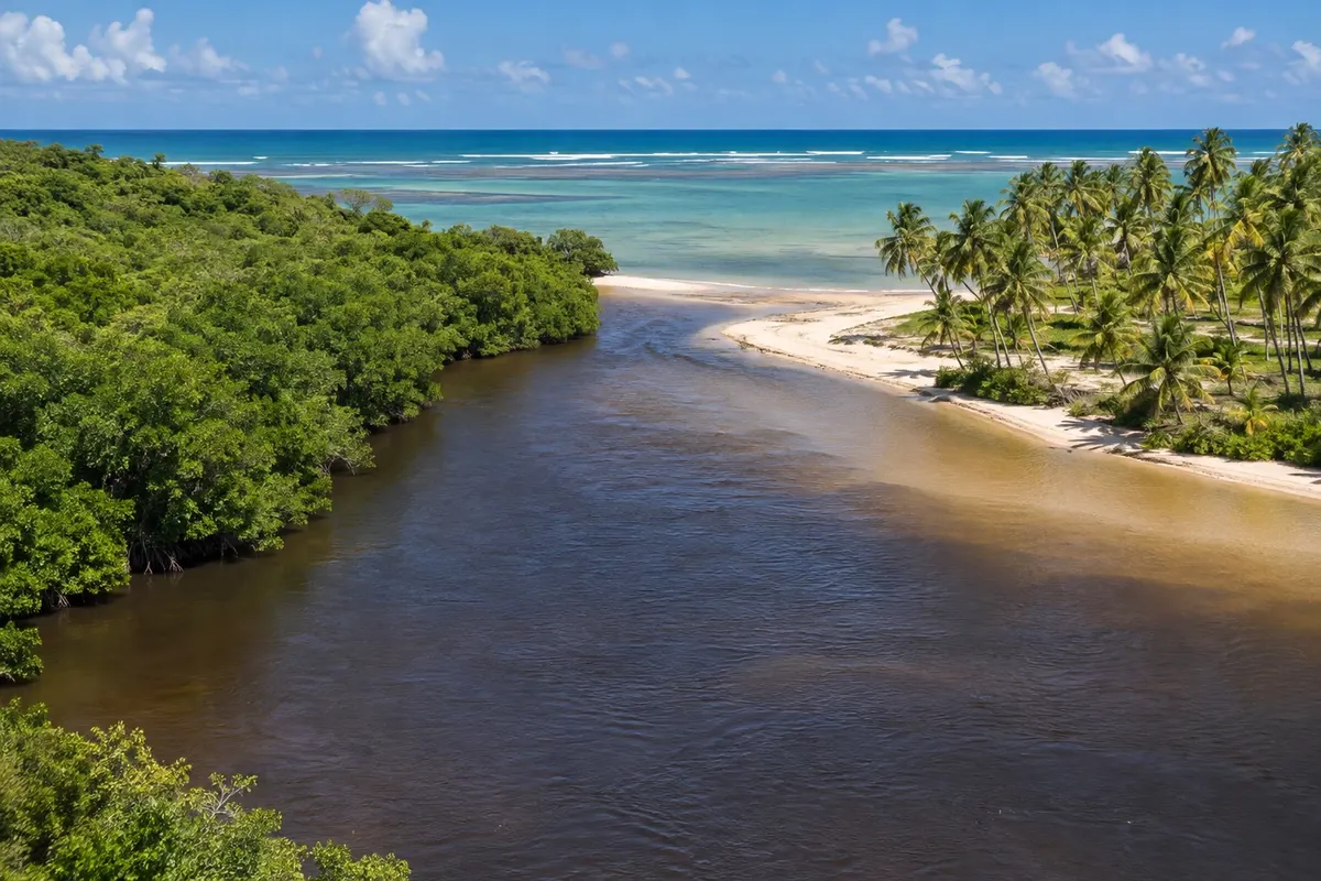 Praia de Tatuamunha
